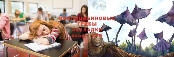 а пвп мука Алзамай
