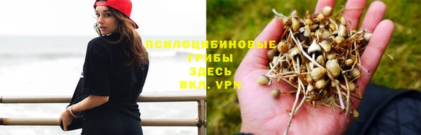 эйфоретик Абдулино
