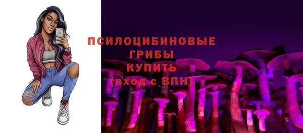 а пвп мука Алзамай