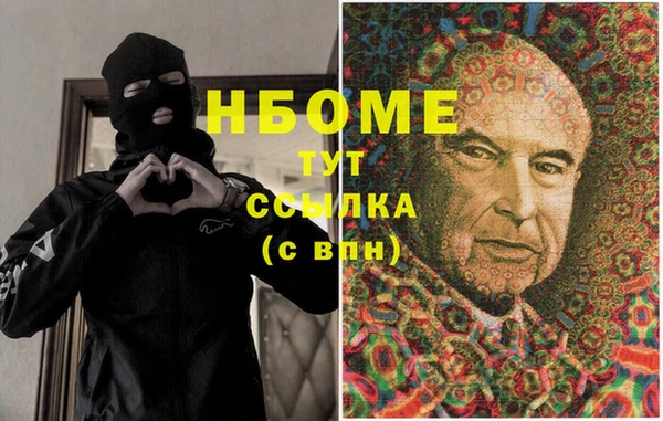 гашик Алексин