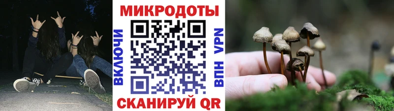 цена Хадыженск Псилоцибиновые грибы ЛСД